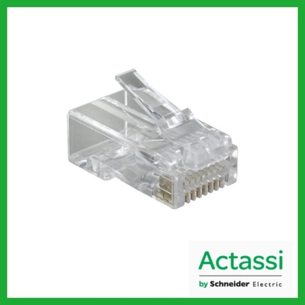 ACTPG6PTU100 - ACTASSI SCHNEIDER - PLUG CAT 6 UTP PULL THROUGH  PK 100